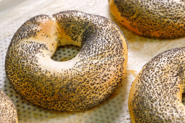 ΚΟΥΛΟΥΡΙ ΣΑΝΤΟΥΪΤΣ ΠΑΠΑΡΟΥΝΟΣΠΟΡΟΣ