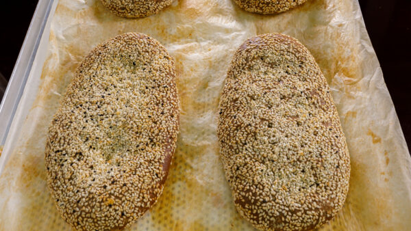 ΛΑΓΑΝΑΚΙ ΣΙΚΑΛΗΣ