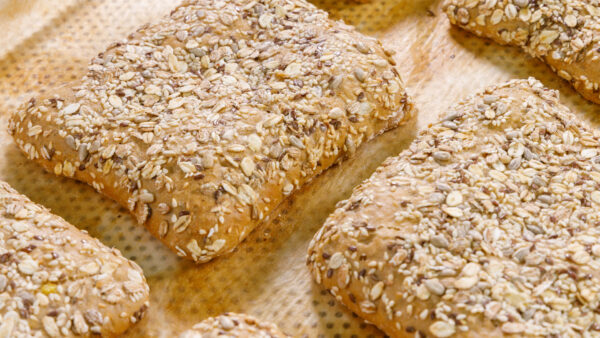 ΤΣΙΑΠΑΤΑ ΤΕΤΡΑΓΩΝΗ ΠΟΛΥΣΠΟΡΗ